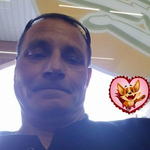 Meet your Posher, Donald